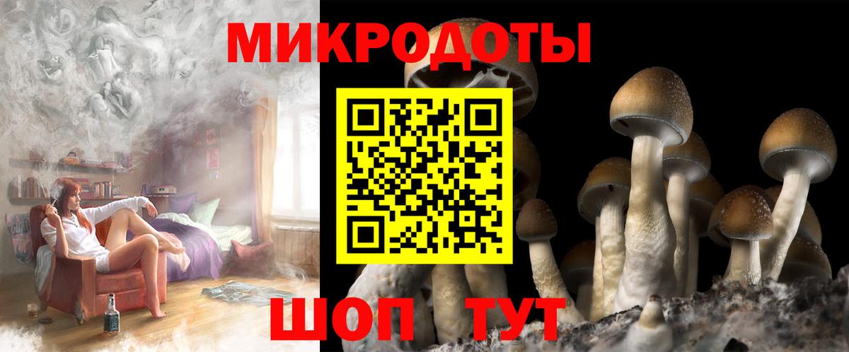Галлюциногенные грибы Magic Shrooms Юрга