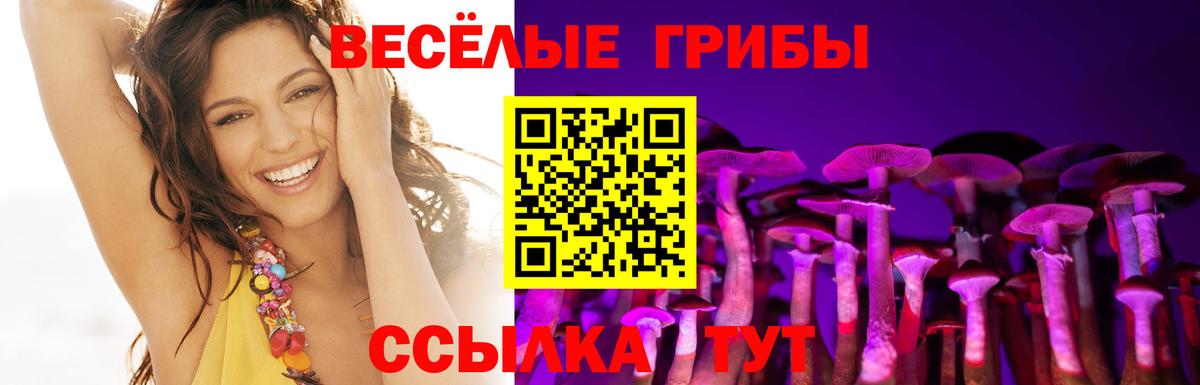 Юрга  Галлюциногенные грибы Psilocybine cubensis  Псилоцибиновые грибы мухоморы  Вход с VPN 